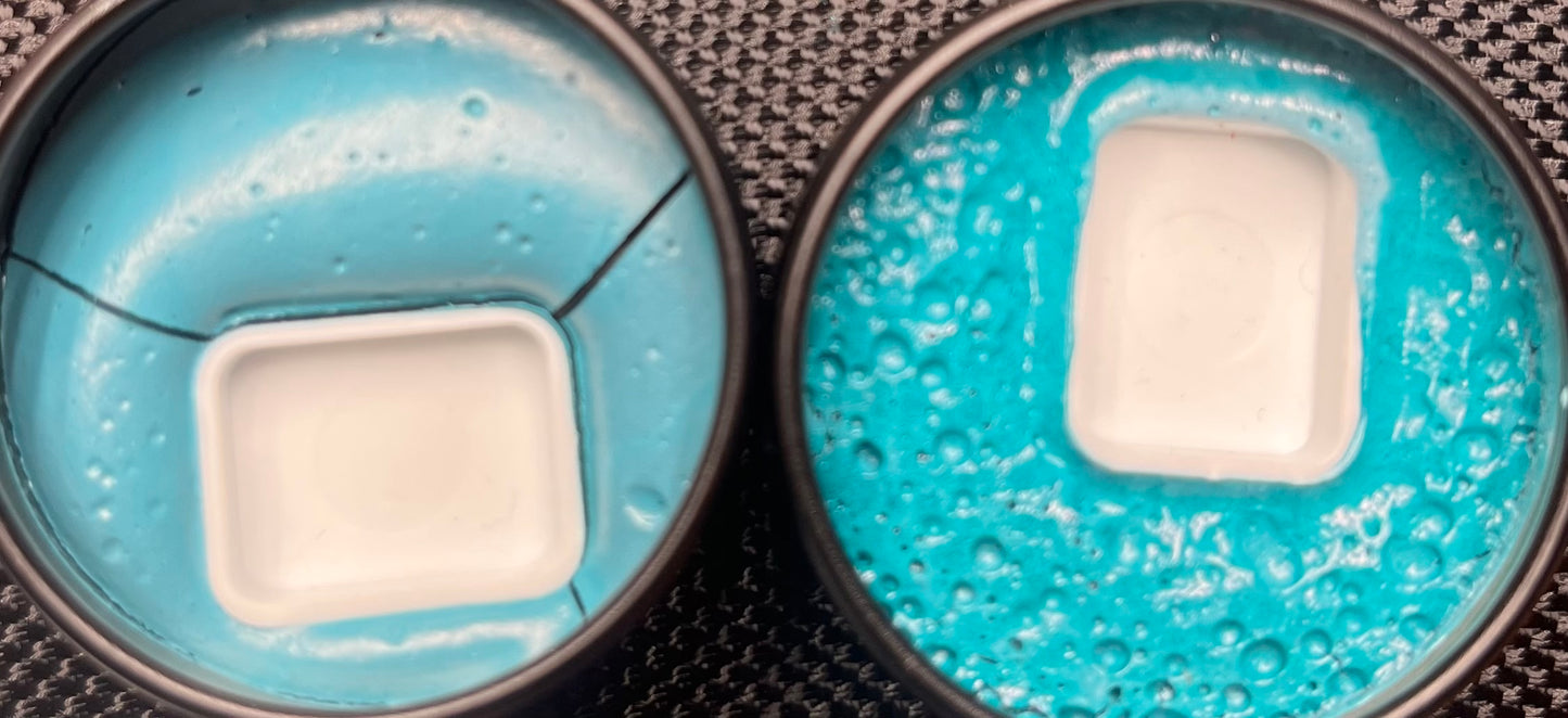 Vegan: Green Turquoise Family
