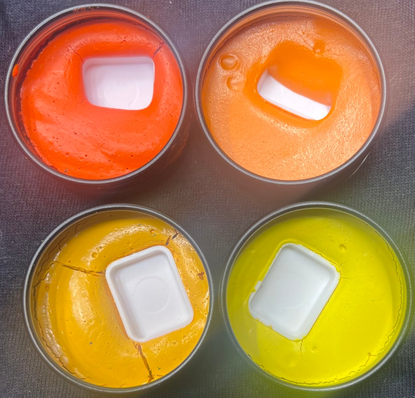 Vegan: Yellow, Orange Family
