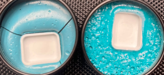 Vegan: Green Turquoise Family