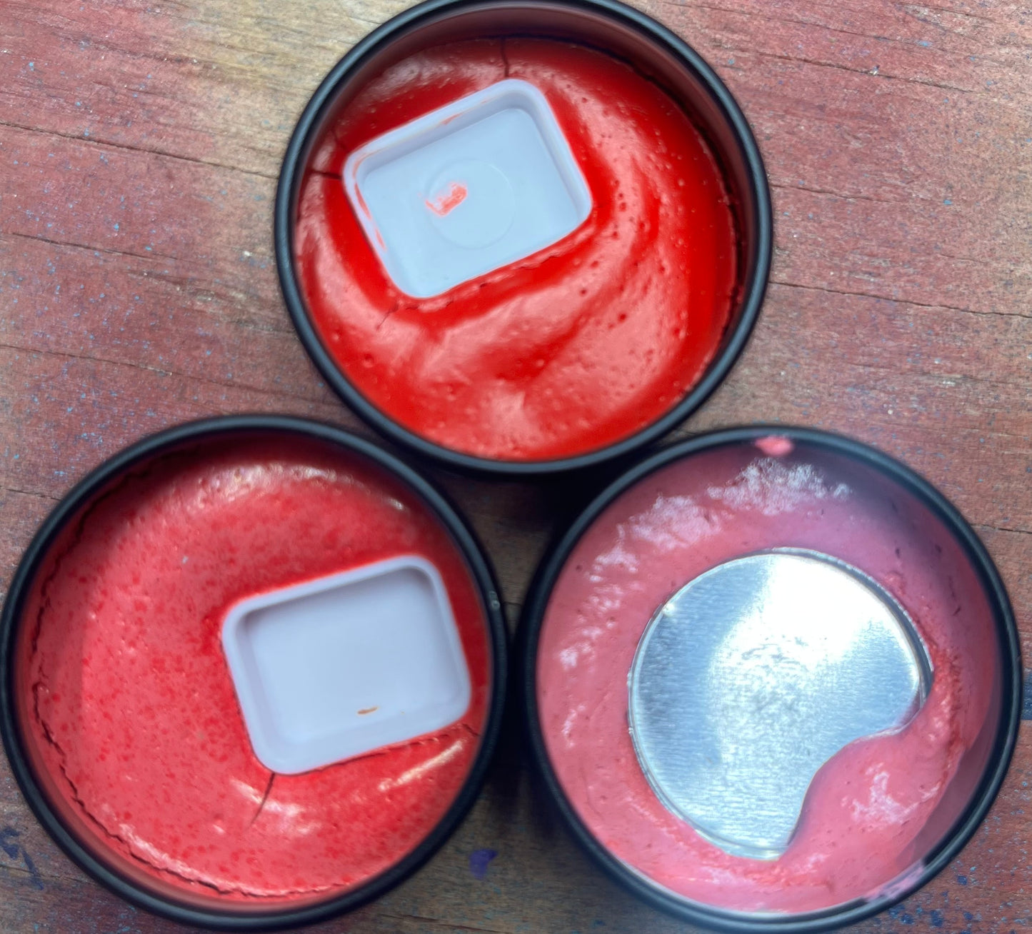 Vegan: Red, Pink Family