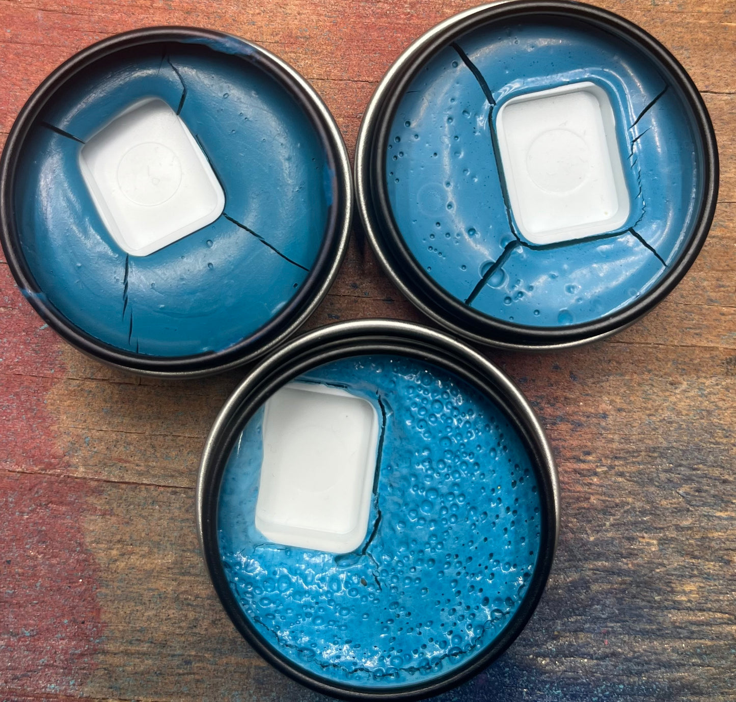 Vegan: Turquoise family